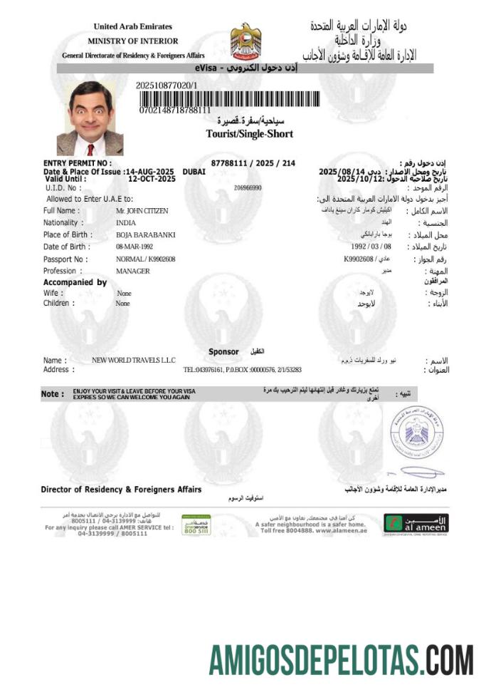 realista Modelo de visto E dos Emirados Árabes Unidos em formatos Word e PDF, versão 9